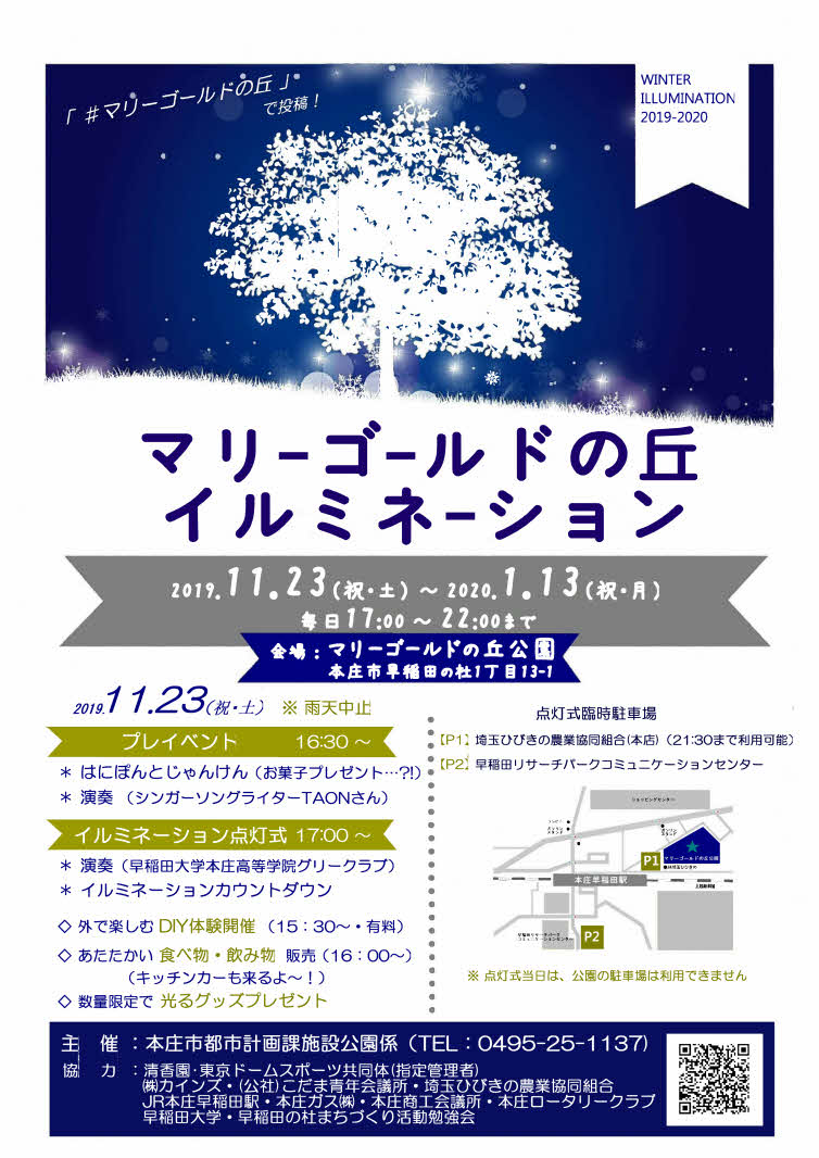 marigoldnooka_illumination2019.jpg